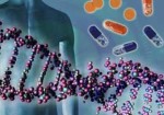 analise-de-dna-itaim-1382718229