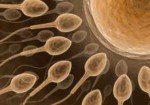clinicas-de-fertilizacao-humana-itaim-1382721402