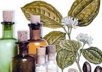farmacias-de-homeopatia-itaim-1382722202