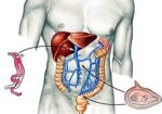 gastroenterologia-e-gastroenterologistas-itaim-1382722582