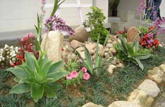 Cantinho das Flores Comércio Flores e Jardinagem - Foto 1