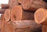 madeiras-e-madeireiras-itaim-1382545895