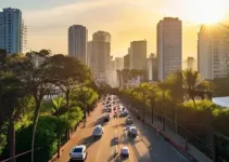 Dia do Aposentado em São Paulo