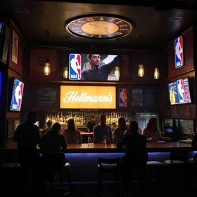 Boteco Hellmann's