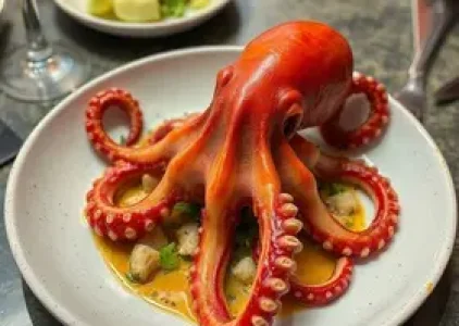restaurantes para comer polvo em São Paulo