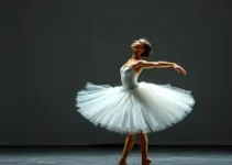 Cisne Negro Cia de Dança