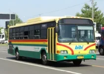 linhas de ônibus