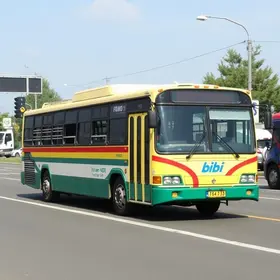linhas de ônibus