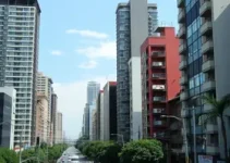 onde tem mais gente vivendo sozinha em SP